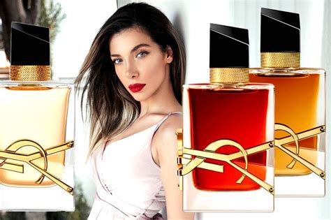 best ysl libre